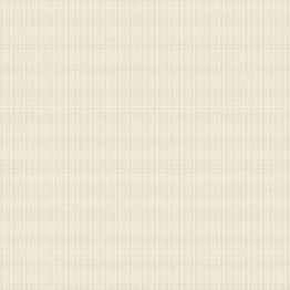 Gạch lát sàn Trường Thịnh WALL TILES VW33003